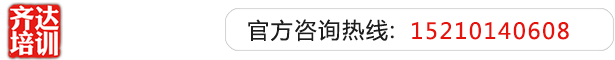 jb插b视频网站在线观看齐达艺考文化课-艺术生文化课,艺术类文化课,艺考生文化课logo